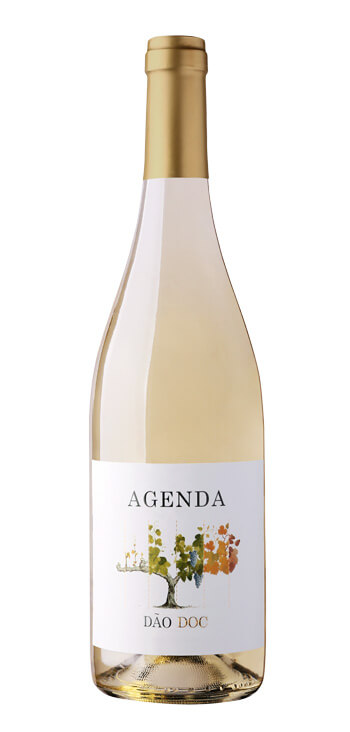 Vino Blanco Agenda