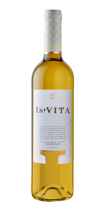 Vino Blanco In Vita